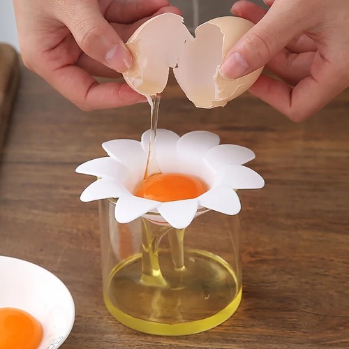 Blume eiweiß eigelb - eiweiß, trenner